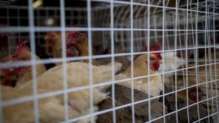 Темпът на спад на продажбите на "Градус" се забавя за деветмесечието