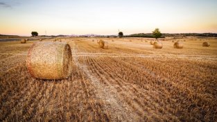 Агрия Груп отчита два пъти по-висока индивидуална печалба за 2016 г. 