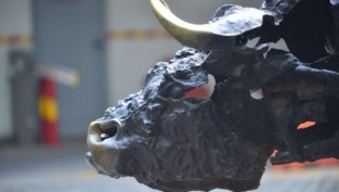 Акционерите на "Марицатекс" ще гласуват за отписването на дружеството от БФБ