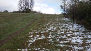 Консолидираната тримесечна печалба на „БГ Агро“ се свива с 84% до 1,3 млн. лв.