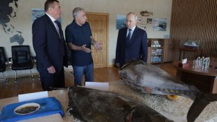 Напрежението между Русия и Япония расте след посещение на Путин на Курилските острови