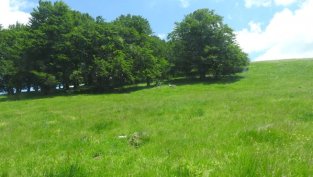 Дивидентът на "Елана Агрокредит" ще намалее с 5% до 6,7 ст. на акция