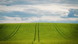 „ЕЛАНА Фонд за земеделска земя“ разпределя дивидент от малко над 1 ст. на акция