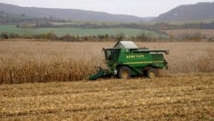 Въпреки сушата &bdquo;Агрия&ldquo; с 8 пъти ръст на печалбата до 4 млн. лв.