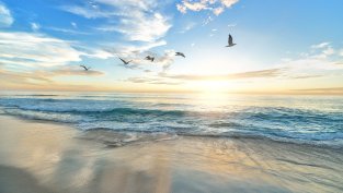 "Албена" отдава втори хотел на франчайз на международната верига Maritim