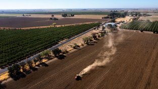 „Елана ФЗЗ“ е договорило с близо 5% по-голяма средна рента за стопанската 2025/2026 г.