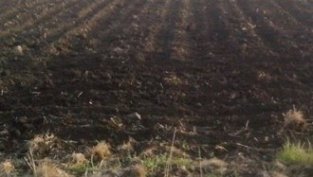 Акциите на Агрия груп холд поскъпнаха с 6% след печалба от 10 млн. лв. за 2014 г