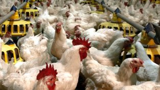 "Градус" увеличава продажбите за деветмесечието, но ръстът на разходите свива печалбата с над 90%