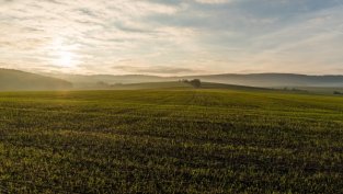 Агрия предлага да няма дивидент и за 2016 г.