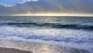 Възползваха ли се туристическите компании от &bdquo;непредвиденото&ldquo; търсене?