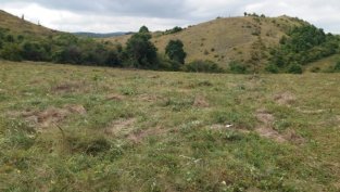 „Елана Агрокредит“ договори кредит до 15 млн. лв. при лихва от 2,2% до 2,79%