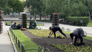 България остава страната с най-ниска безработица в ЕС