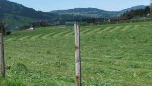 Цената на земята в сделките на "Елана Агрокредит" достигна 1869 лв. на декар 