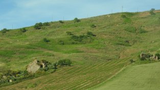 „Елана Агрокредит“ със 178%-ов ръст на финансираните сделки за септември 