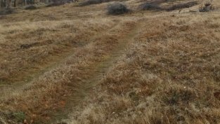 Елана Агрокредит АД е погасило 4 млн. лв. от кредита си към СЖ Експресбанк