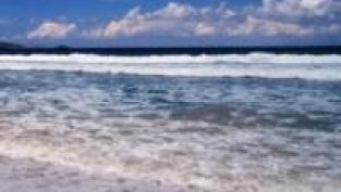 Акция на седмицата - Албена АД