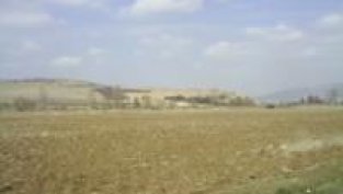 ФНИ България купува 2777 дка земя, печели търг във Велико Търново