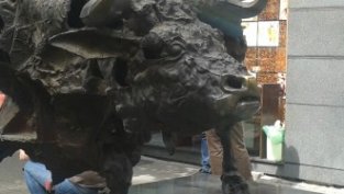 БФБ представя резултатите си на уебинар на 30 януари