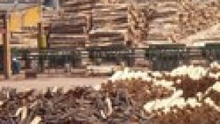 Велде получи търгово предложение след влошените резултати