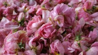 „Българска роза“ е напът да подпише споразумение за износ на козметика за Китай 