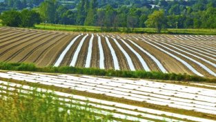 "Адванс Терафонд" приключва 2023 г. с печалба от 2,4 млн. лв.