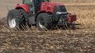 Царевицата - най-печелившата зърнена култура през тази година