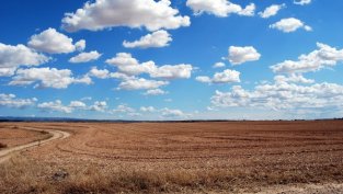 "Агрия Груп Холдинг" купи 50% от компания за инвестиции в имоти