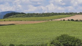 „Елана Агрокредит“ с 21% спад на финансираните сделки за 7-месечието