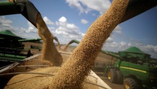 Печалбата на &bdquo;Зърнени храни&ldquo; расте със 17% през първото тримесечие