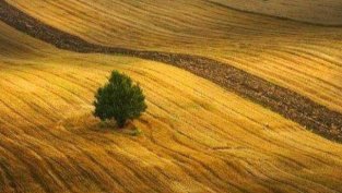 Елана Агрокредит АД със 70% спад на финансираните сделки за януари и февруари