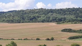 "Елана Агрокредит" записа рекордна стойност на финансираните сделки през ноември