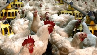 "Градус" отчита стабилна печалба при умерен ръст на приходите към 30 юни