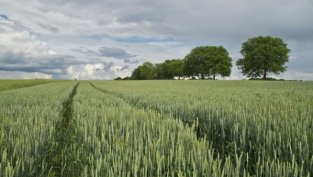 "Агрия Груп Холдинг" отчита ръст на печалбата до 14,47 млн. лв. към 30 юни