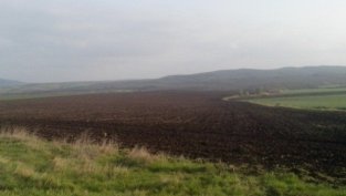 Сделките през февруари компенсират слабия януари за Елана Агрокредит