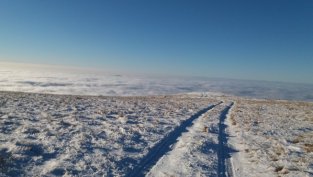 "Елана Агрокредит" АД увеличи портфейла си от кредити с 15 млн. лв. през 2018 г.