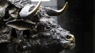 КФН временно спря покупката на акции на &bdquo;Фазан&rdquo; от Стара планина холд