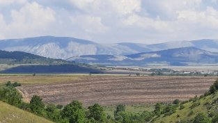 Сделките за земя, финансирани от "Елана Агрокредит", намаляха с 16% през 2020 г.