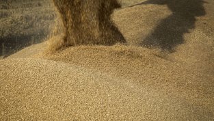 КЗК разреши на "Агрия Груп Холдинг" да придобие търговеца на зърно "Комерс"