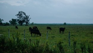 За първи път в България: АДСИЦ се преобразува в акционерно дружество*