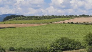 Отчетът на "Елана Агрокредит" индикира с 4% по-висок дивидент