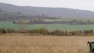 &bdquo;Агрия&ldquo; предлага обратно изкупуване за между 28 и 33 лв. за акция