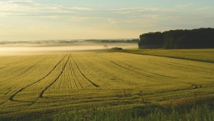 "Адванс Терафонд" е продал 6,5 пъти повече земя до август тази година