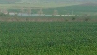 Акция на седмицата &ndash; Агрия Груп