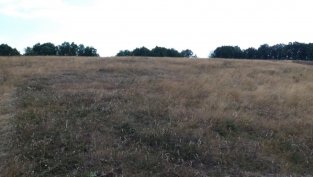 „Елана Агрокредит“ е финансирала сделки за 791 хил. лв. през август