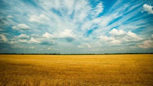 „Елана Агрокредит“ бележи ръст на печалбата и приходите от лихви за деветмесечието