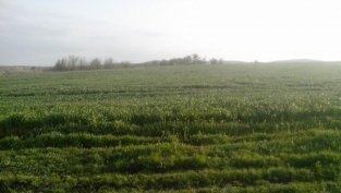 "Елана Агрокредит“ е финансирала през октомври сделки за над 2,6 млн. лв.