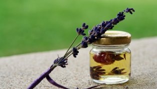 Лавена ще увеличава капитала