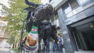 Засега се очертава около 7,7 ст. дивидент на акция при "Градус" АД