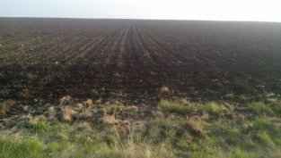 “Елана Агрокредит” е сключила 8 сделки за 271 хил. лв. през април