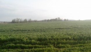 Агро Финанс с 1,9% ръст на рентите до рекордните 49,51 лв. на декар